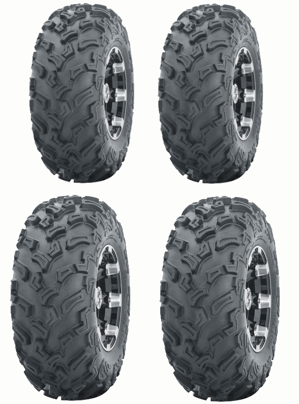 HAKUBA 25x10-12 P3006